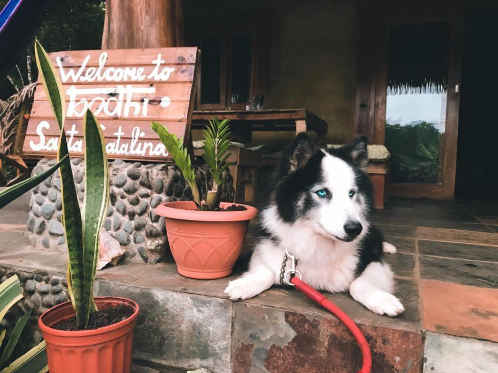 Bodhi Santa Catalina Hostel Bagian luar foto